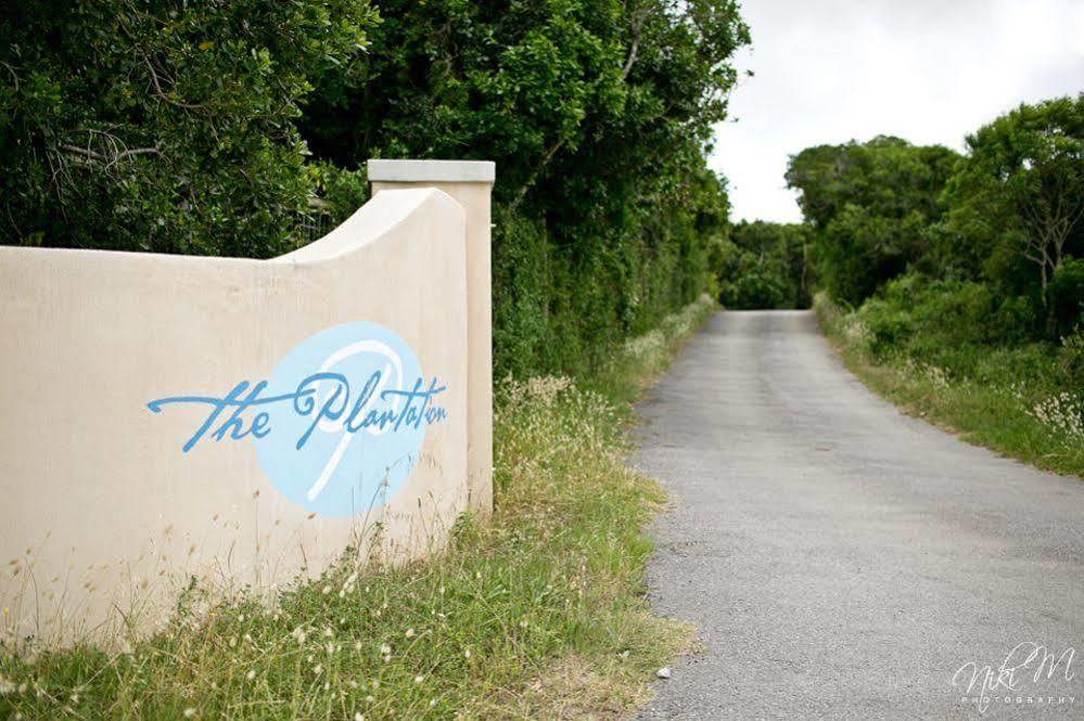 The Plantation Acomodação com café da manhã Port Elizabeth Exterior foto